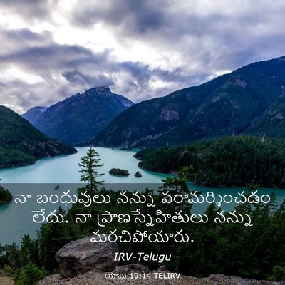 Picture 03 - యోబు 19:14 TELIRV - నా బంధువులు నన్ను - Bible Verse Picture