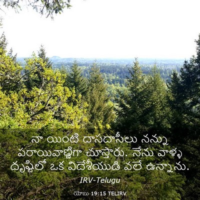 Picture 03 - యోబు 19:15 TELIRV - నా యింటి - Bible Verse Picture