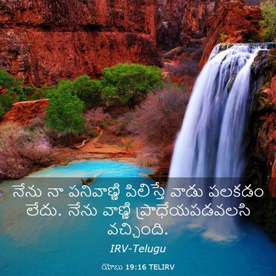 Picture 03 - యోబు 19:16 TELIRV - నేను నా పనివాణ్ణి - Bible Verse Picture