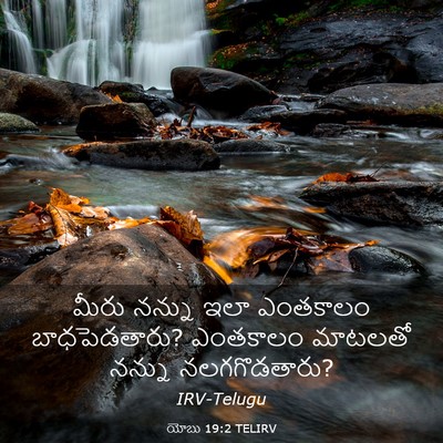 Picture 03 - యోబు 19:2 TELIRV - మీరు నన్ను ఇలా - Bible Verse Picture