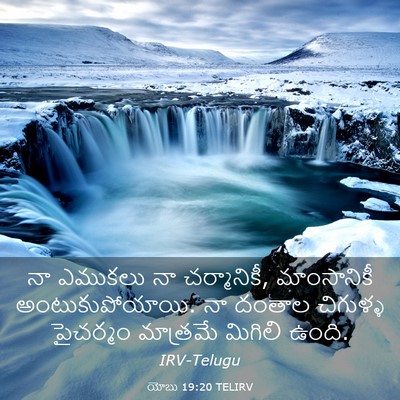 Picture 03 - యోబు 19:20 TELIRV - నా ఎముకలు నా - Bible Verse Picture