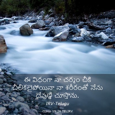 Picture 03 - యోబు 19:26 TELIRV - ఈ విధంగా నా చర్మం - Bible Verse Picture