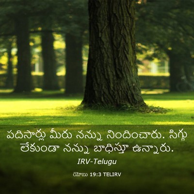 Picture 03 - యోబు 19:3 TELIRV - పదిసార్లు మీరు - Bible Verse Picture