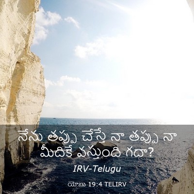 Picture 03 - యోబు 19:4 TELIRV - నేను తప్పు చేస్తే - Bible Verse Picture