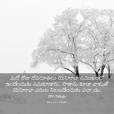Picture 03 - యోబు 2:1 TELIRV - మరో రోజు దేవదూతలు - Bible Verse Picture