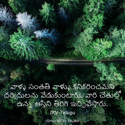 Picture 03 - యోబు 20:10 TELIRV - వాళ్ళ సంతతి - Bible Verse Picture