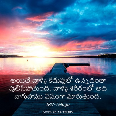 Picture 03 - యోబు 20:14 TELIRV - అయితే వాళ్ళ - Bible Verse Picture