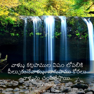 Picture 03 - యోబు 20:16 TELIRV - వాళ్ళు కట్లపాముల - Bible Verse Picture
