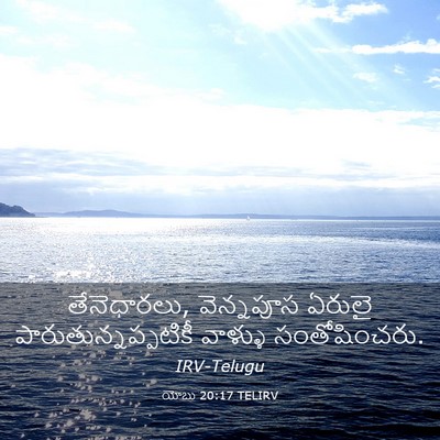Picture 03 - యోబు 20:17 TELIRV - తేనెధారలు, - Bible Verse Picture