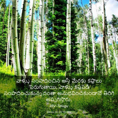 Picture 03 - యోబు 20:18 TELIRV - వాళ్ళు సంపాదించిన - Bible Verse Picture
