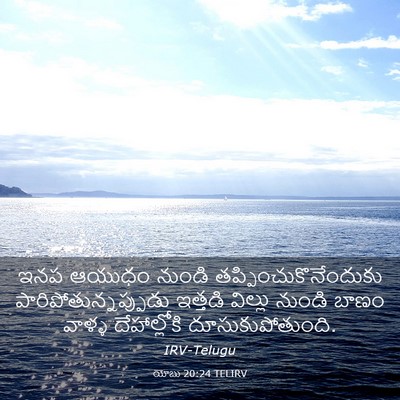 Picture 03 - యోబు 20:24 TELIRV - ఇనప ఆయుధం నుండి - Bible Verse Picture