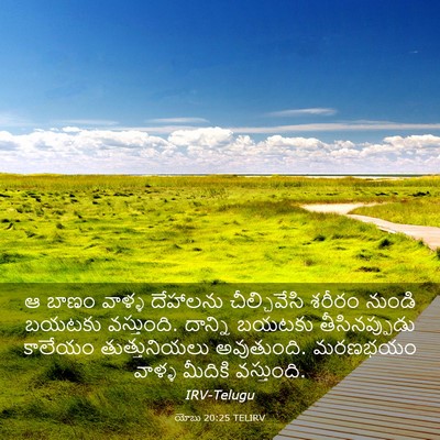 Picture 03 - యోబు 20:25 TELIRV - ఆ బాణం వాళ్ళ - Bible Verse Picture