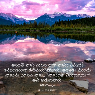 Picture 03 - యోబు 20:7 TELIRV - అయితే వాళ్ళ మలం - Bible Verse Picture
