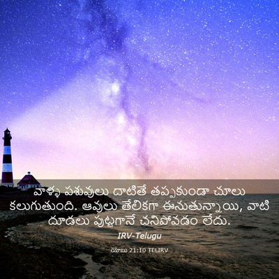 Picture 03 - యోబు 21:10 TELIRV - వాళ్ళ పశువులు - Bible Verse Picture