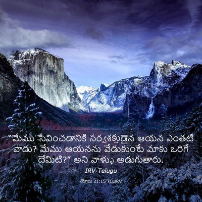 Picture 03 - యోబు 21:15 TELIRV - “మేము - Bible Verse Picture