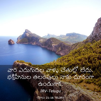 Picture 03 - యోబు 21:16 TELIRV - వారి ఎదుగుదల - Bible Verse Picture