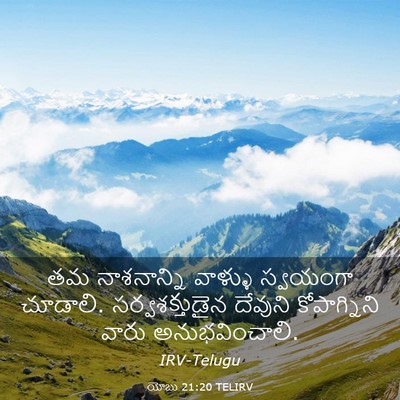 Picture 03 - యోబు 21:20 TELIRV - తమ నాశనాన్ని - Bible Verse Picture
