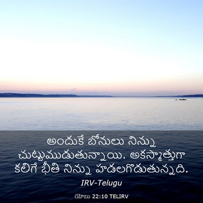 Picture 03 - యోబు 22:10 TELIRV - అందుకే బోనులు - Bible Verse Picture