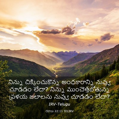 Picture 03 - యోబు 22:11 TELIRV - నిన్ను - Bible Verse Picture