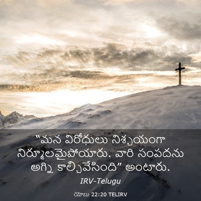 Picture 03 - యోబు 22:20 TELIRV - “మన విరోధులు - Bible Verse Picture