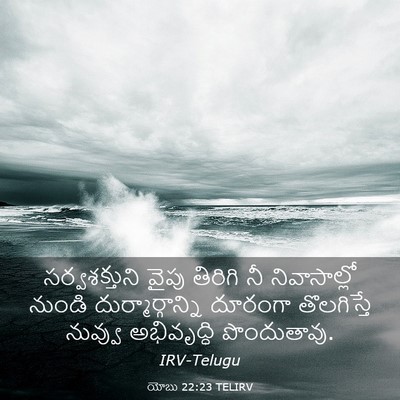 Picture 03 - యోబు 22:23 TELIRV - సర్వశక్తుని వైపు - Bible Verse Picture