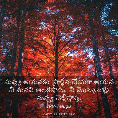 Picture 03 - యోబు 22:27 TELIRV - నువ్వు ఆయనకు - Bible Verse Picture