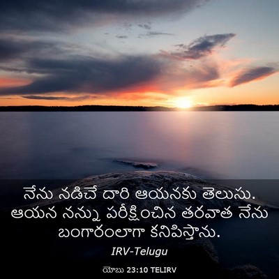 Picture 03 - యోబు 23:10 TELIRV - నేను నడిచే దారి - Bible Verse Picture