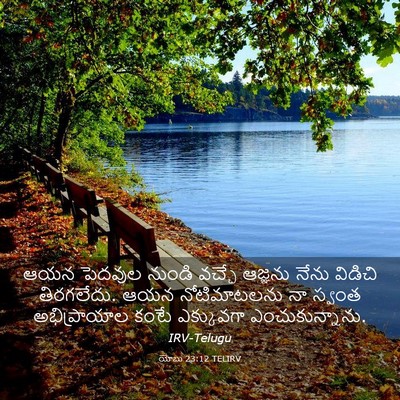 Picture 03 - యోబు 23:12 TELIRV - ఆయన పెదవుల నుండి - Bible Verse Picture