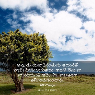 Picture 03 - యోబు 23:7 TELIRV - అప్పుడు - Bible Verse Picture