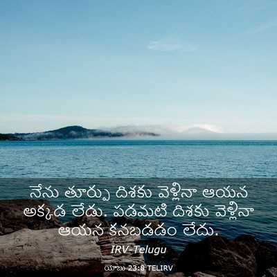 Picture 03 - యోబు 23:8 TELIRV - నేను తూర్పు దిశకు - Bible Verse Picture