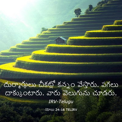 Picture 03 - యోబు 24:16 TELIRV - దుర్మార్గులు - Bible Verse Picture