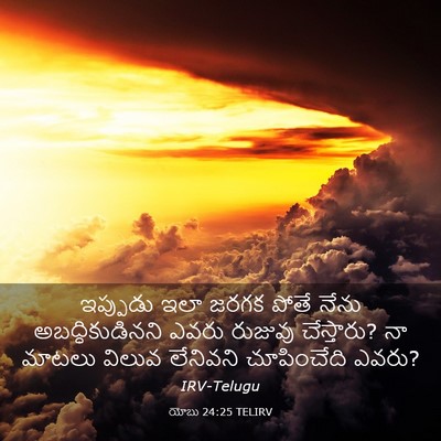 Picture 03 - యోబు 24:25 TELIRV - ఇప్పుడు ఇలా జరగక - Bible Verse Picture