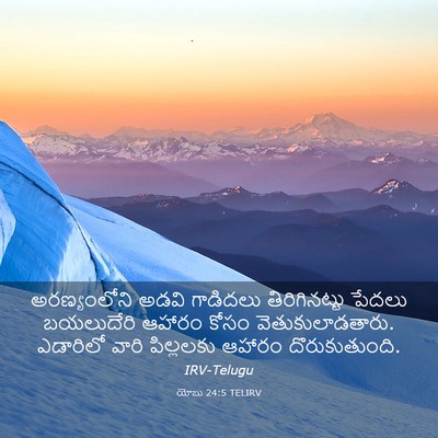 Picture 03 - యోబు 24:5 TELIRV - అరణ్యంలోని అడవి - Bible Verse Picture