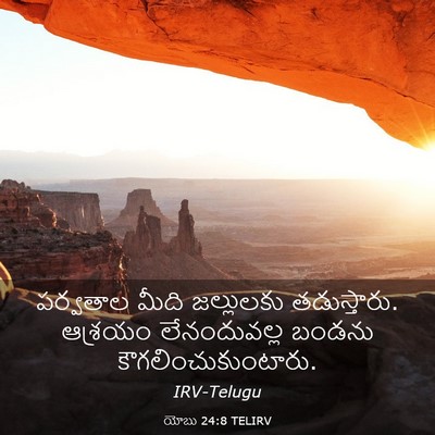 Picture 03 - యోబు 24:8 TELIRV - పర్వతాల మీది - Bible Verse Picture