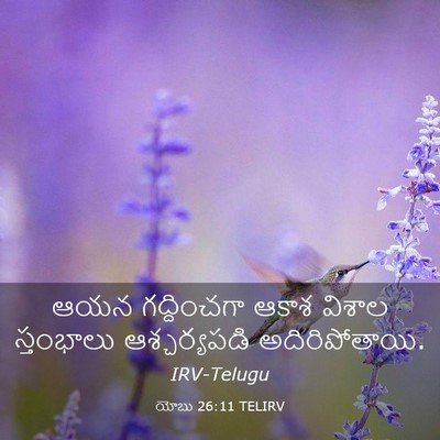 Picture 03 - యోబు 26:11 TELIRV - ఆయన గద్దించగా - Bible Verse Picture