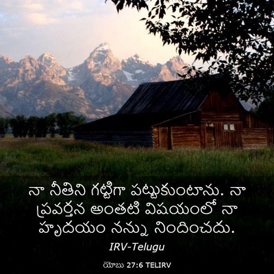 Picture 03 - యోబు 27:6 TELIRV - నా నీతిని గట్టిగా - Bible Verse Picture