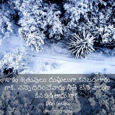 Picture 03 - యోబు 27:7 TELIRV - నాకు శత్రువులు - Bible Verse Picture