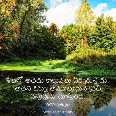 Picture 03 - యోబు 28:10 TELIRV - శిలల్లో అతడు - Bible Verse Picture