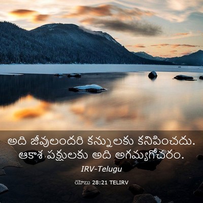Picture 03 - యోబు 28:21 TELIRV - అది జీవులందరి - Bible Verse Picture