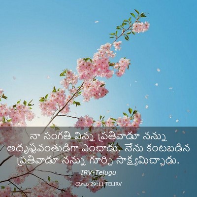 Picture 03 - యోబు 29:11 TELIRV - నా సంగతి విన్న - Bible Verse Picture
