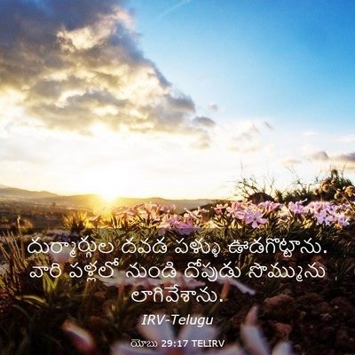 Picture 03 - యోబు 29:17 TELIRV - దుర్మార్గుల దవడ - Bible Verse Picture