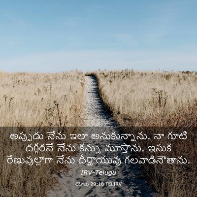 Picture 03 - యోబు 29:18 TELIRV - అప్పుడు నేను ఇలా - Bible Verse Picture
