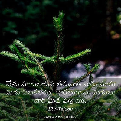 Picture 03 - యోబు 29:22 TELIRV - నేను మాటలాడిన - Bible Verse Picture