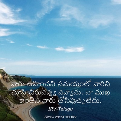 Picture 03 - యోబు 29:24 TELIRV - వారు ఉహించని - Bible Verse Picture
