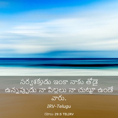 Picture 03 - యోబు 29:5 TELIRV - సర్వశక్తుడు ఇంకా - Bible Verse Picture