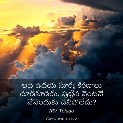 Picture 03 - యోబు 3:10 TELIRV - అది ఉదయ సూర్య - Bible Verse Picture