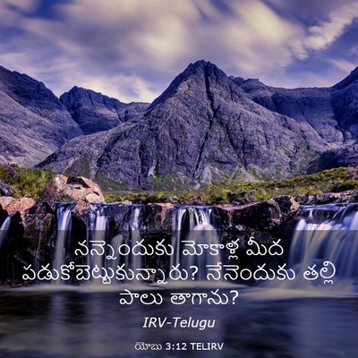 Picture 03 - యోబు 3:12 TELIRV - నన్నెందుకు - Bible Verse Picture