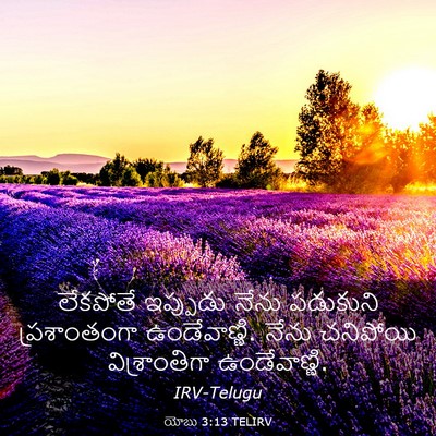 Picture 03 - యోబు 3:13 TELIRV - లేకపోతే ఇప్పుడు - Bible Verse Picture