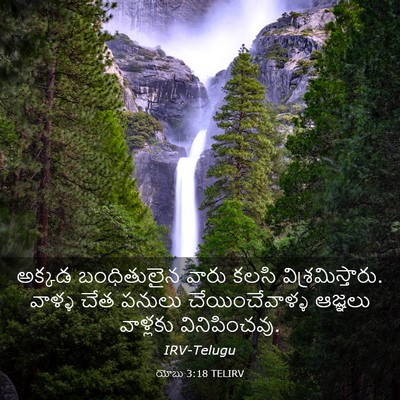 Picture 03 - యోబు 3:18 TELIRV - అక్కడ బంధితులైన - Bible Verse Picture