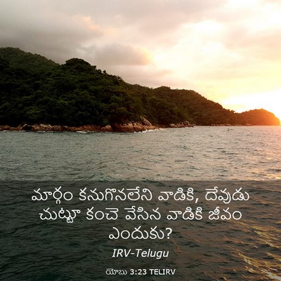 Picture 03 - యోబు 3:23 TELIRV - మార్గం కనుగొనలేని - Bible Verse Picture